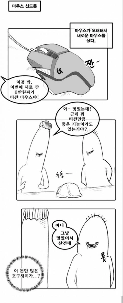 비싼 마우스 쓰는 만화 + a