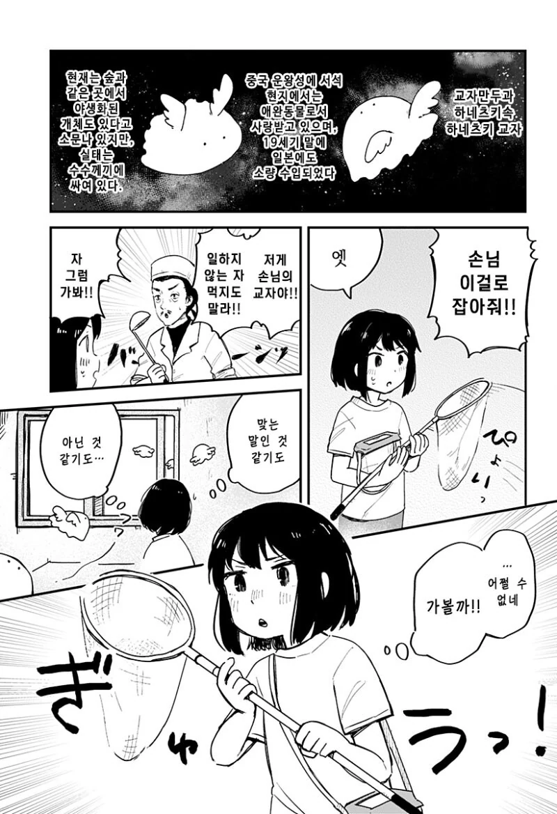 하네즈키 교자 먹다 만화 - 이미지 6