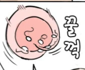 원신)글