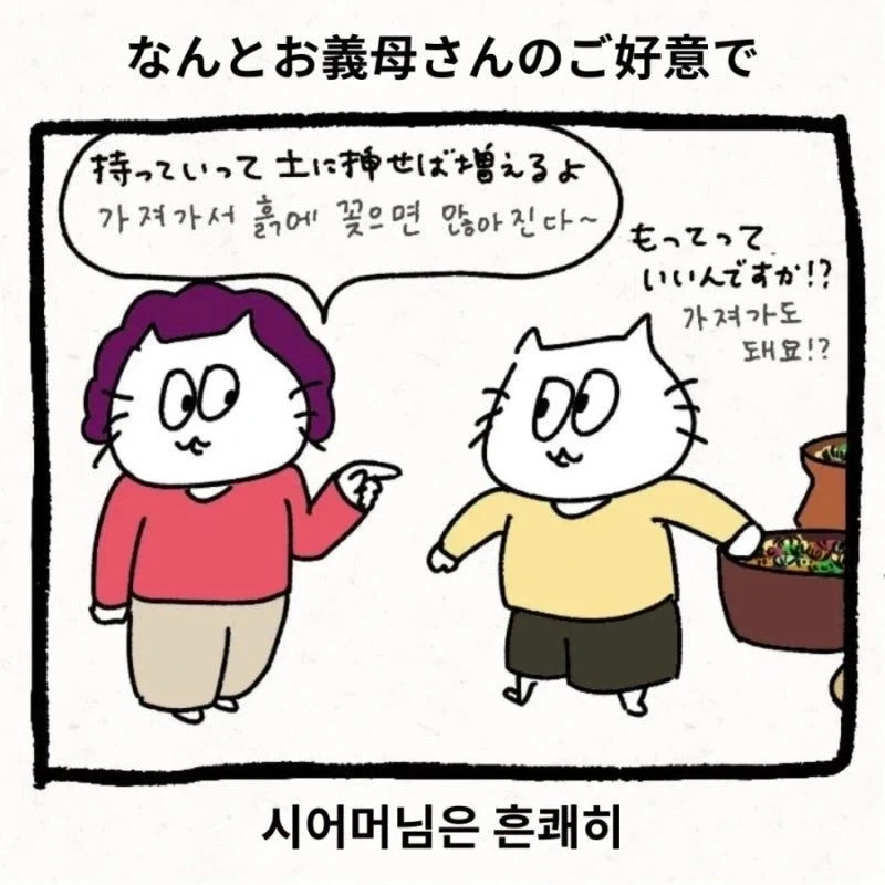 한국 시댁에 와서 이것저것 가져가는.Manhwa - 이미지 3