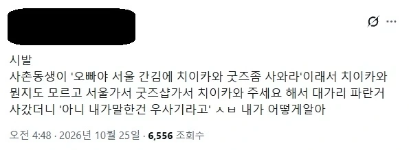주문=치이카와