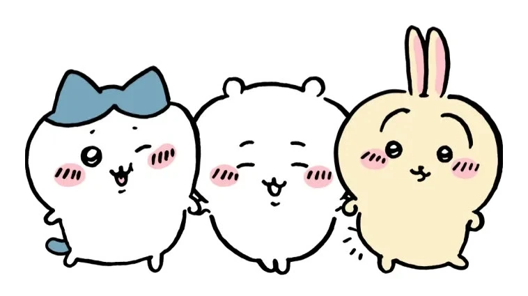 주문=치이카와 - 이미지 2