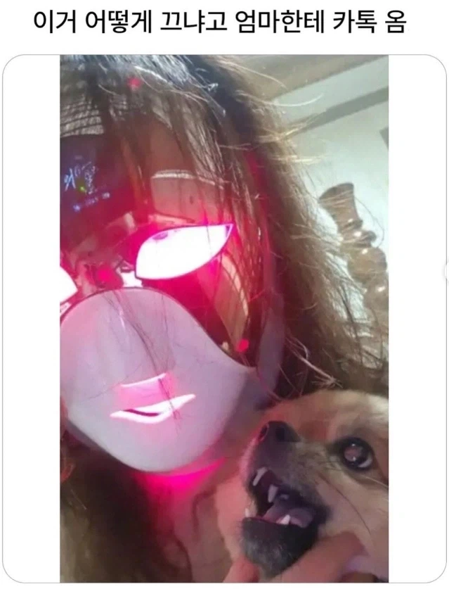 엄마가, 아들에게 보내는 카톡 유형중 하나..