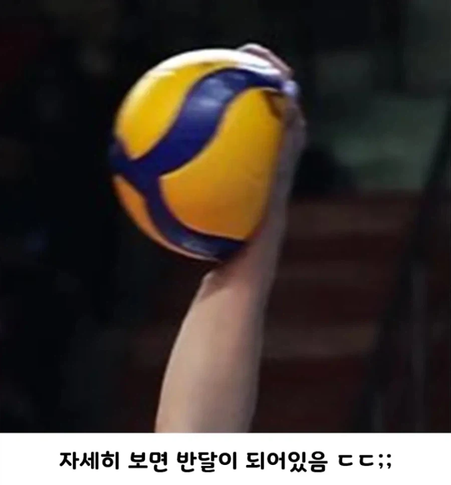 공은 원래 둥글어야 정상 - 이미지 2