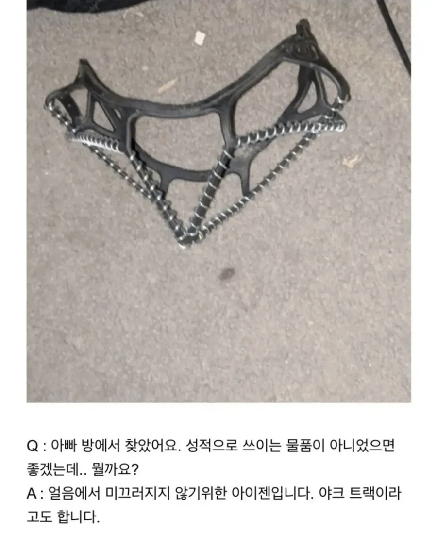 아빠 방에서 찾았는데요, 성적인 물건만 아니었으면 좋겠어요
