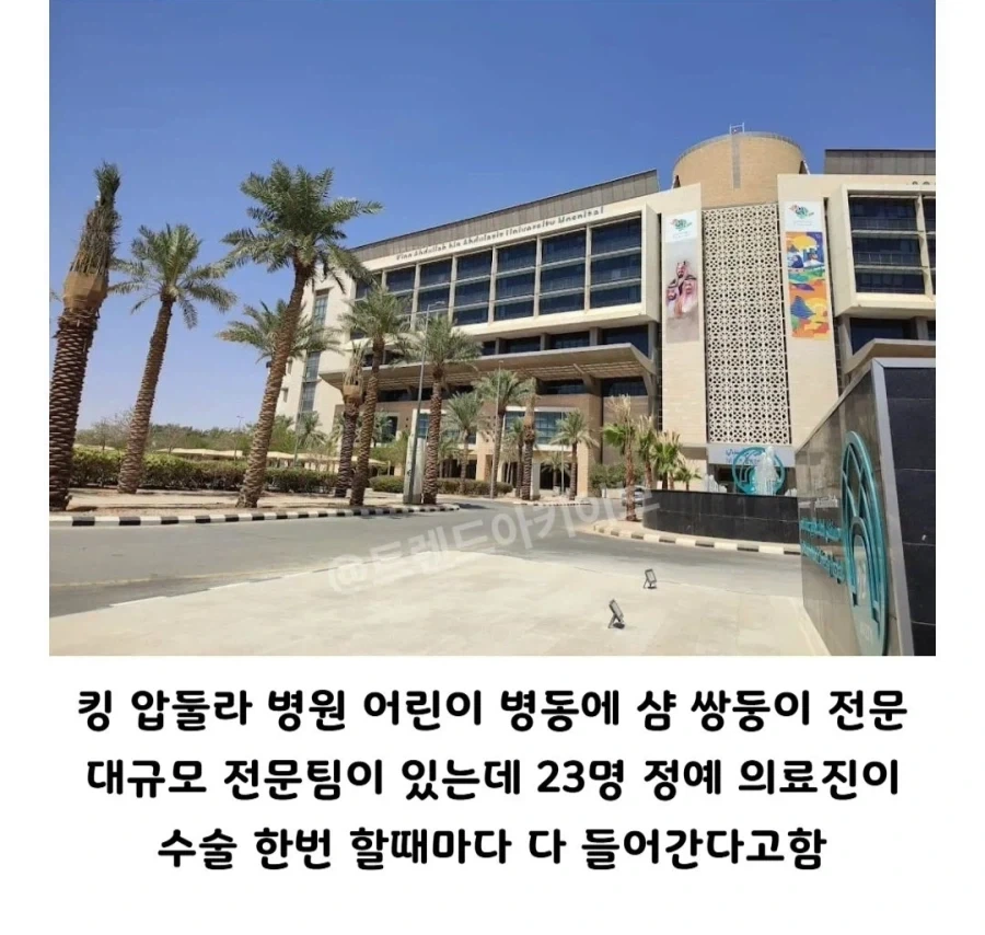 사우디 아라비아가 전세계에서 제일 잘한다는 수술 - 이미지 2