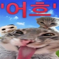 스폰지밥 모에화 - 이미지 2