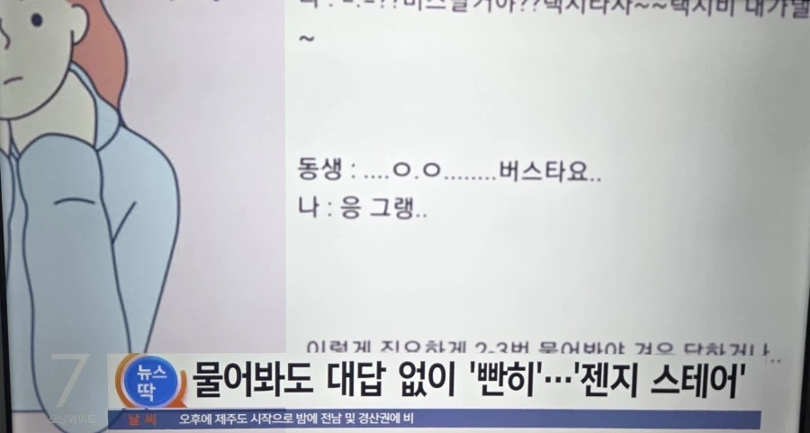 갈라치기류