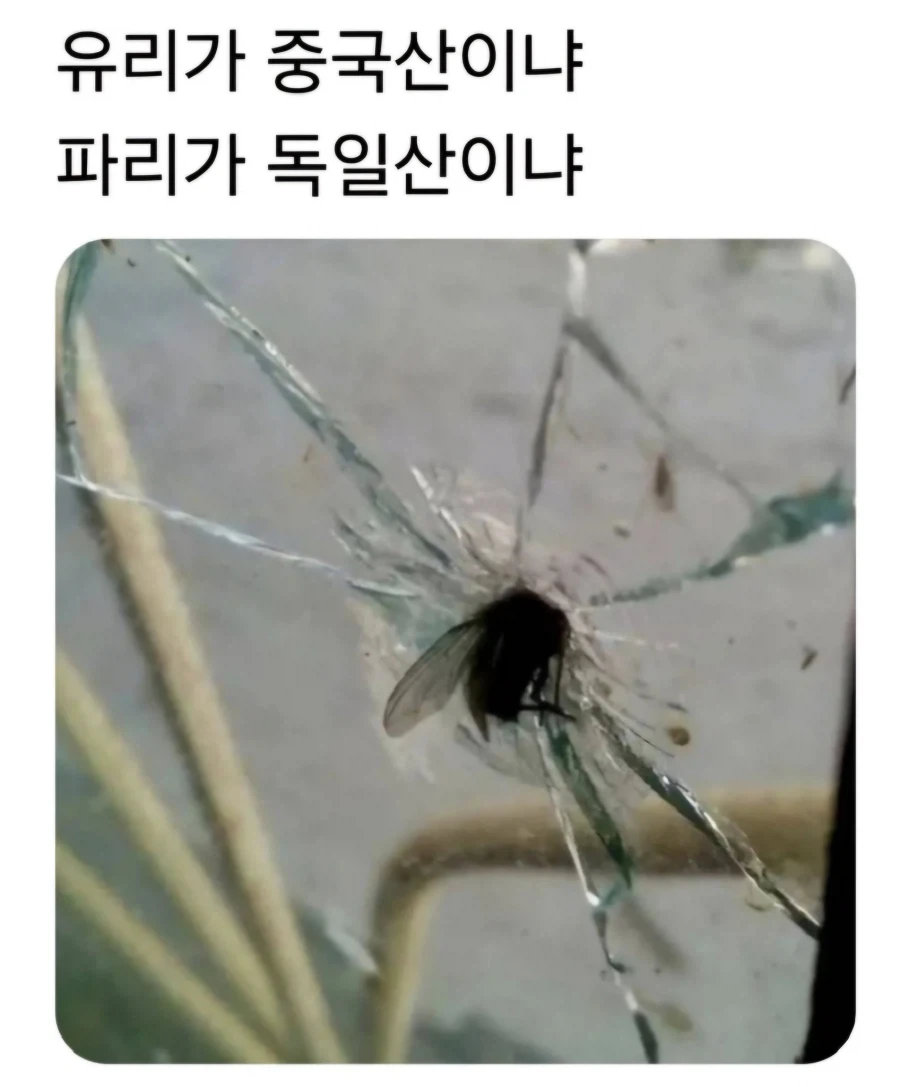 유리가 중국산인가