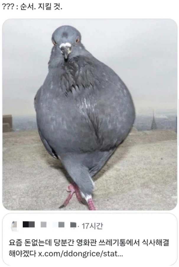 백수 공짜밥 .. 영화관 거지 꿀팁 - 이미지 3
