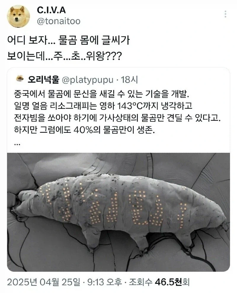 중국, "물곰 몸에 문신하는 기술 개발"