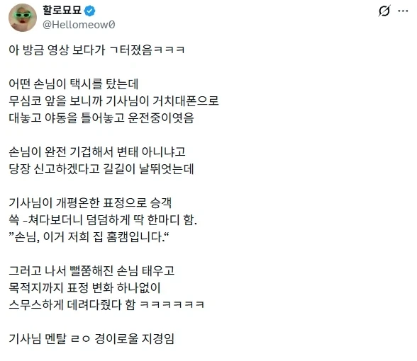거치대폰으로 야동을 틀고 운전중이던 택시기사님.x