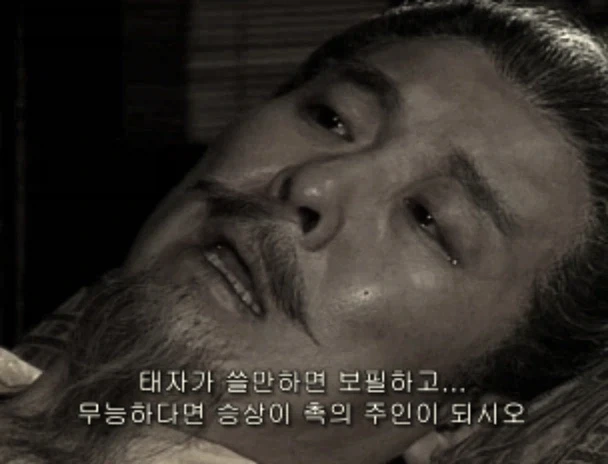 선대의 유언을 잘 들은 사마의와 씹어버린 제갈량 - 이미지 2