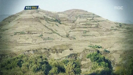 사실 남한의 녹화사업의 결정적 성공요인이 ＇땔감의 대체＇가 제일큰게 - 이미지 2
