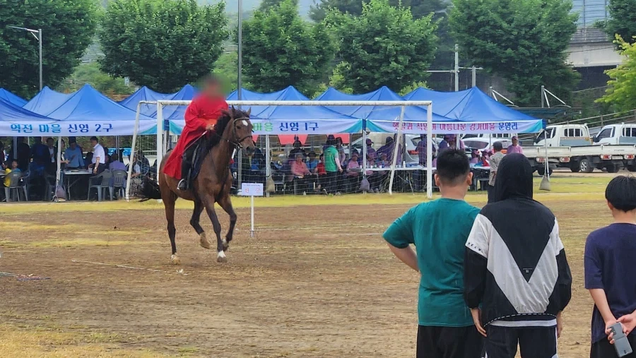 농촌 체육대회에 출몰한 여진족.jpg - 이미지 2