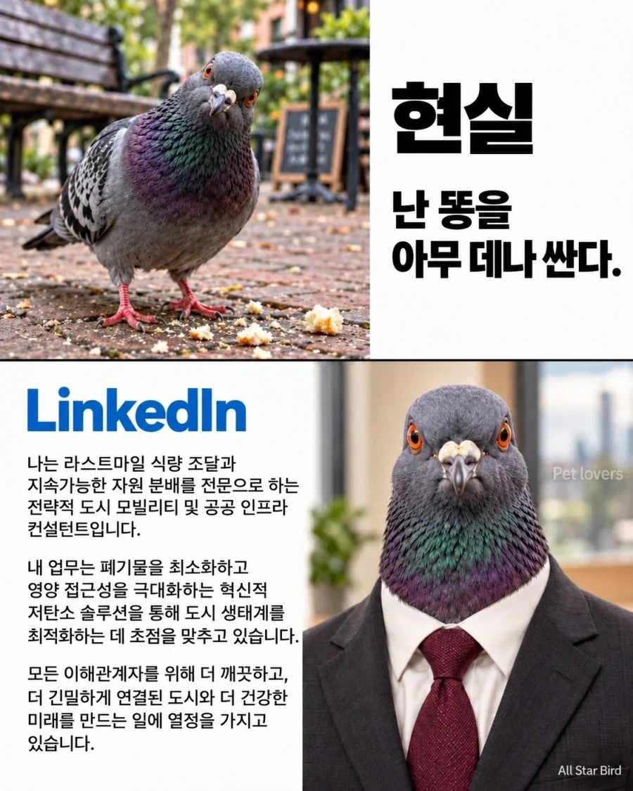 현실 vs 링크드인