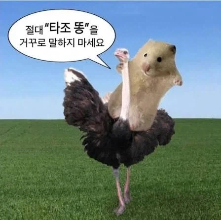난 타조똥 뻘글에 항상 들어가봄