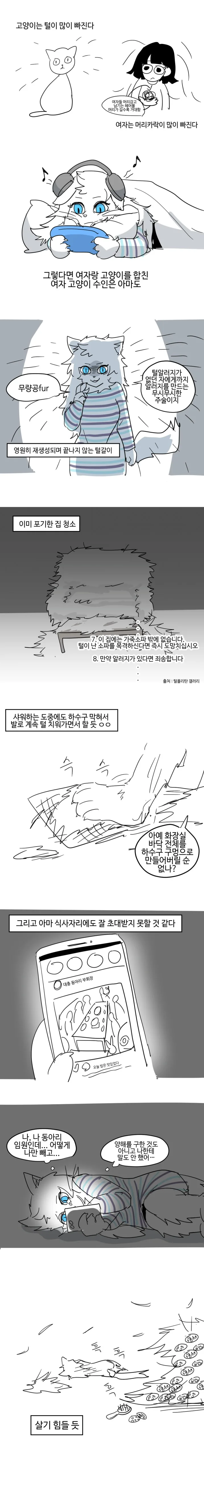 짧은 고양이수인 만화.manhwa