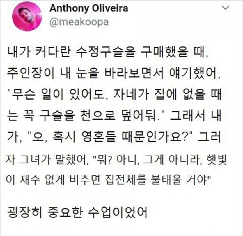 숲에 불이 났던 이유.manga - 이미지 2