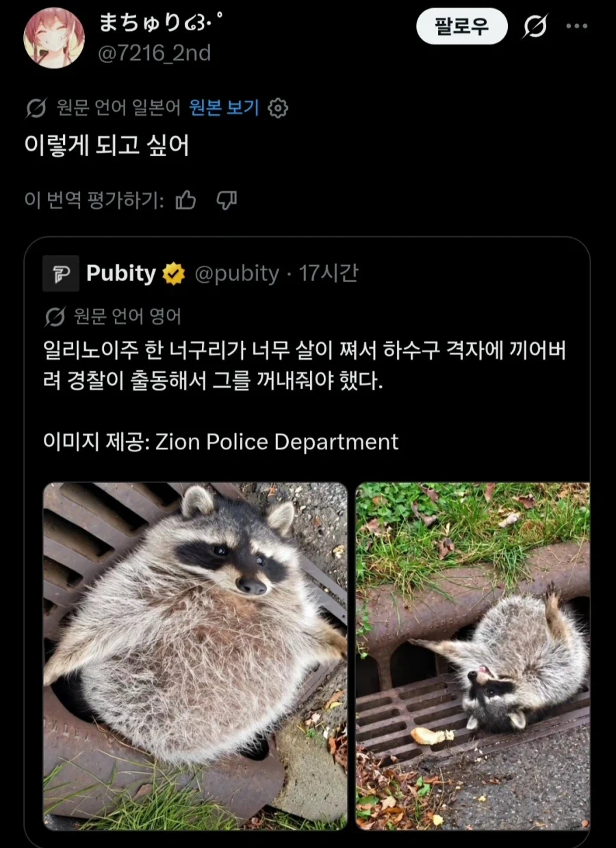 버튜버)마츠리 소원을 들어준 일러레.jpg