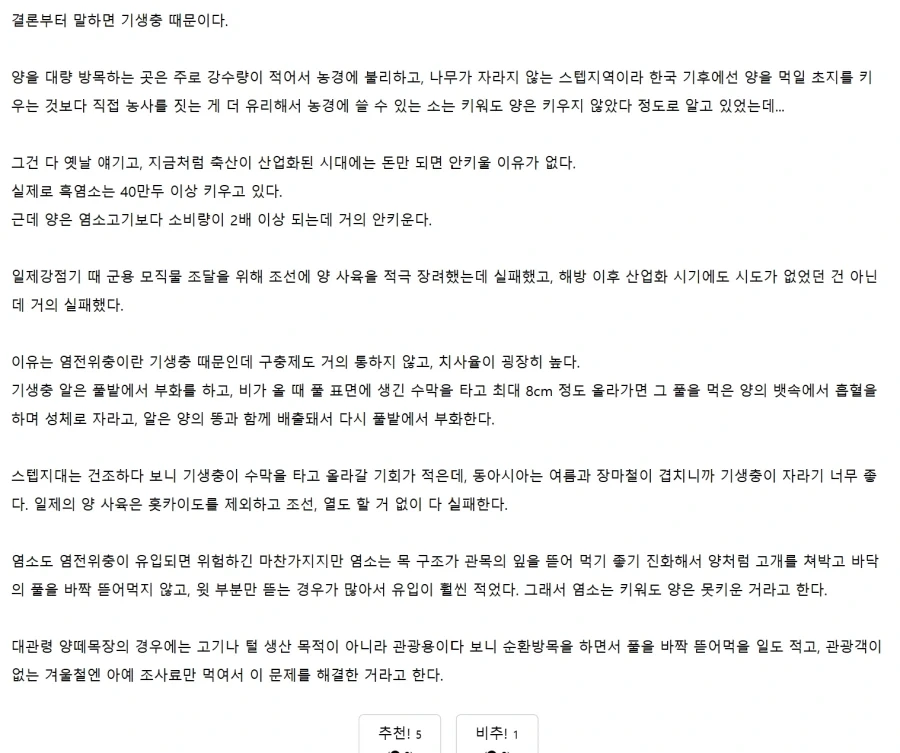 한국 양고기가 비싼 이유