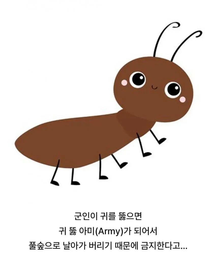 군인이 귀를 뚫으면 안되는 이유 - 이미지 2