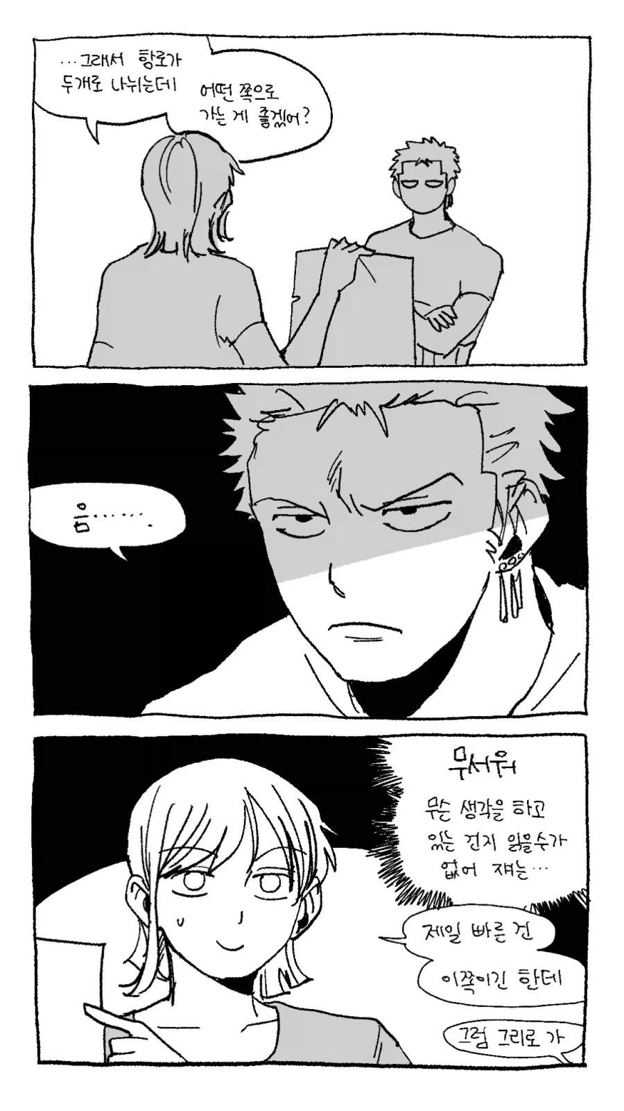 원피스 팬아트) "조로, 어떤 항로가 좋은거 같아?"