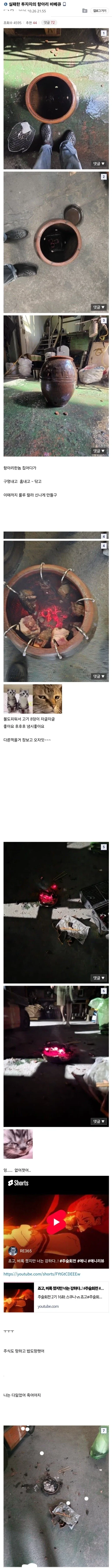 실패한 투자자의 항아리 바베큐