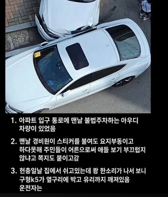 담당일진이 등장한 불법주차 아우디 사건