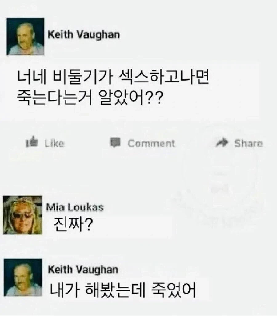 비둘기 색스.jpg