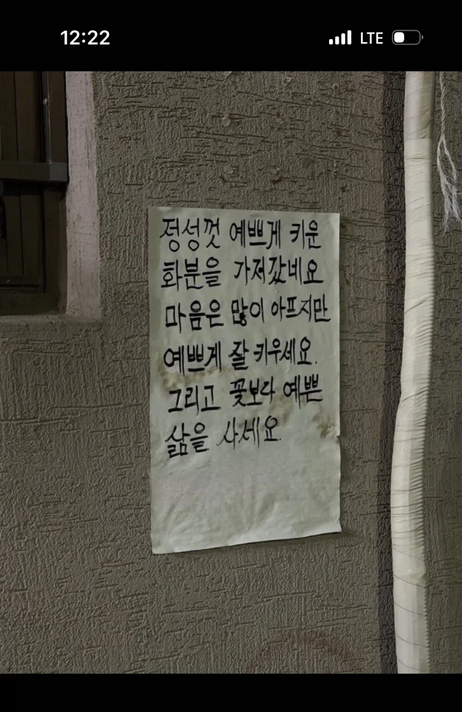 정성껏 키운 화분을 도둑맞은 사람