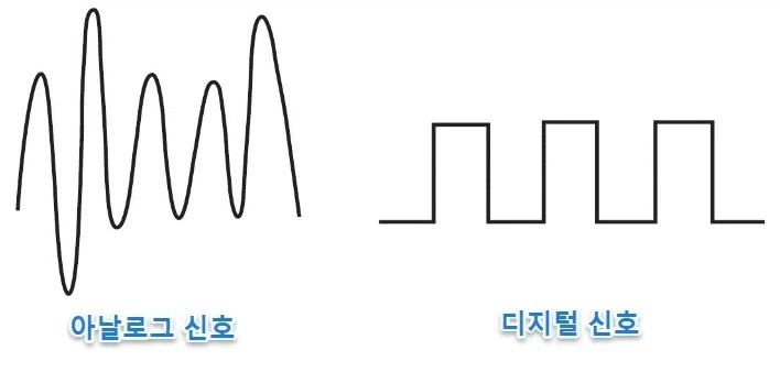 아날XX X지털