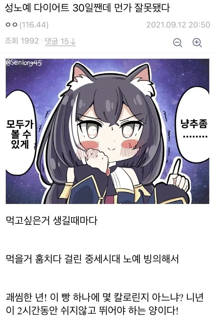 성능 확실한 노예 다이어트