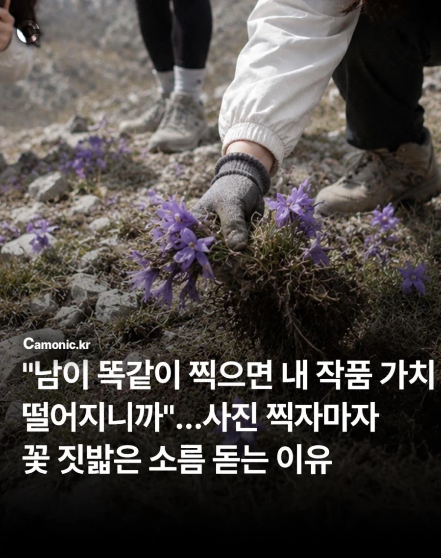 사진작가 동호회 수준