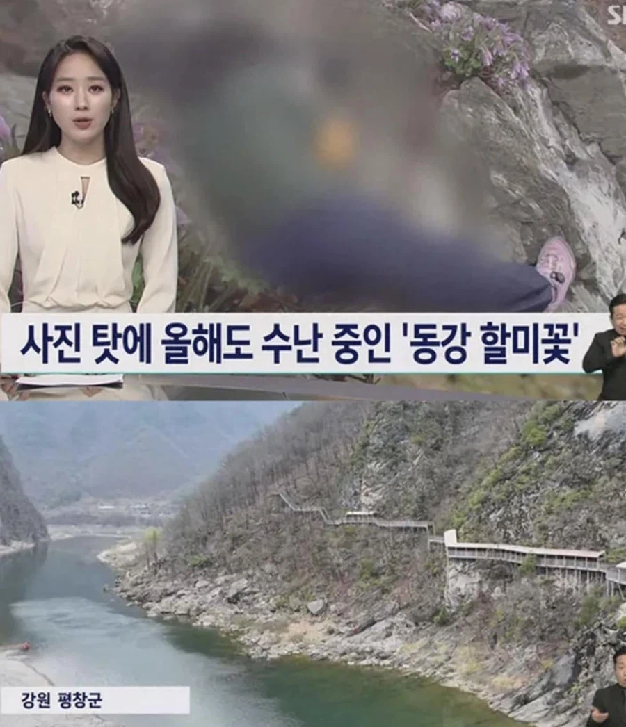 사진작가 동호회 수준 - 이미지 2