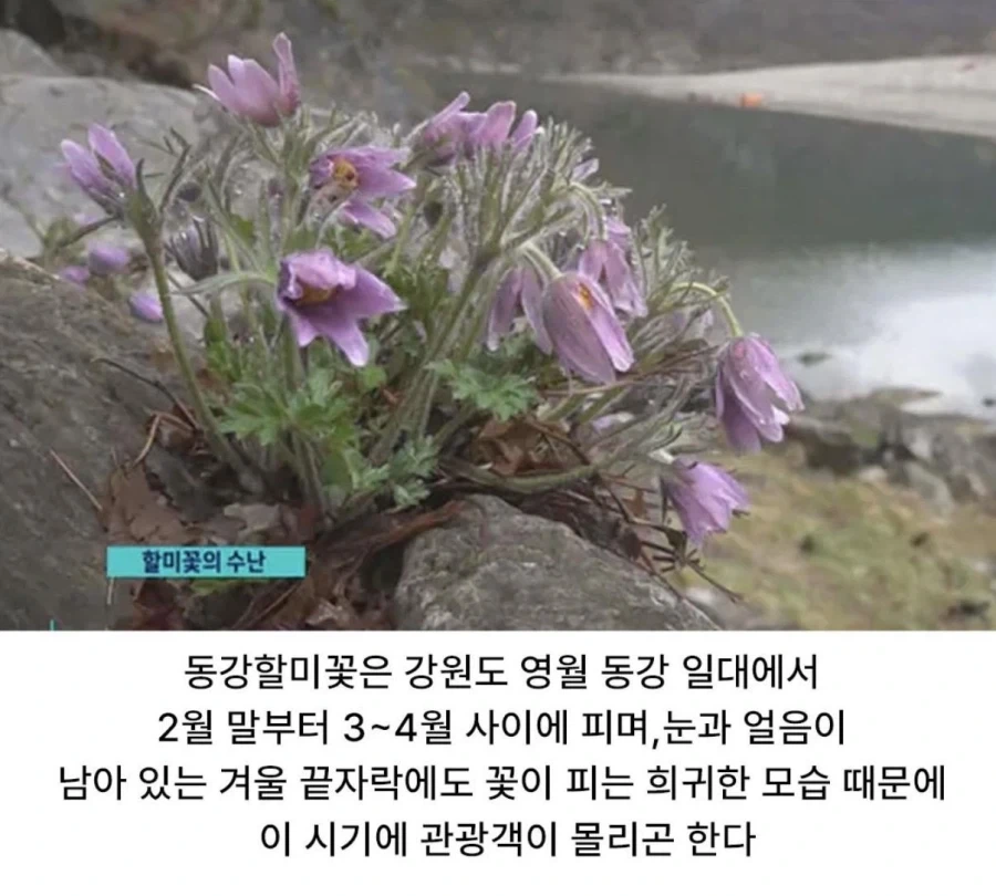 사진작가 동호회 수준 - 이미지 3