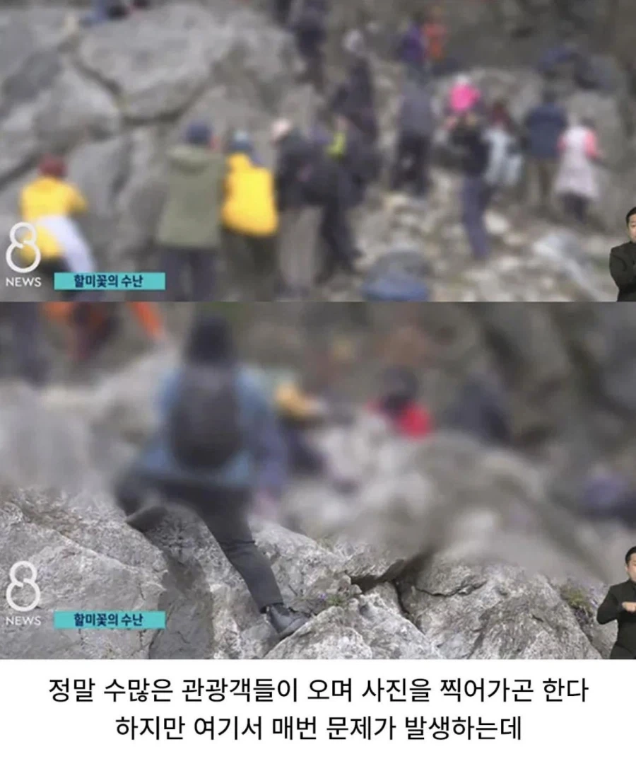 사진작가 동호회 수준 - 이미지 4