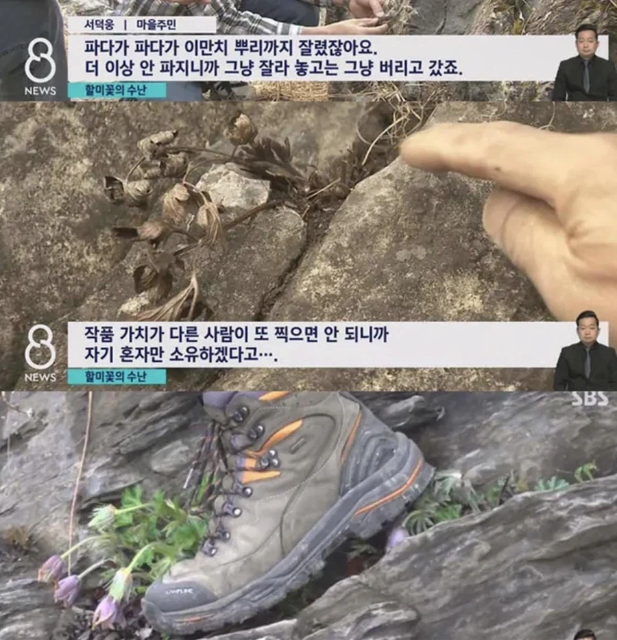 사진작가 동호회 수준 - 이미지 5