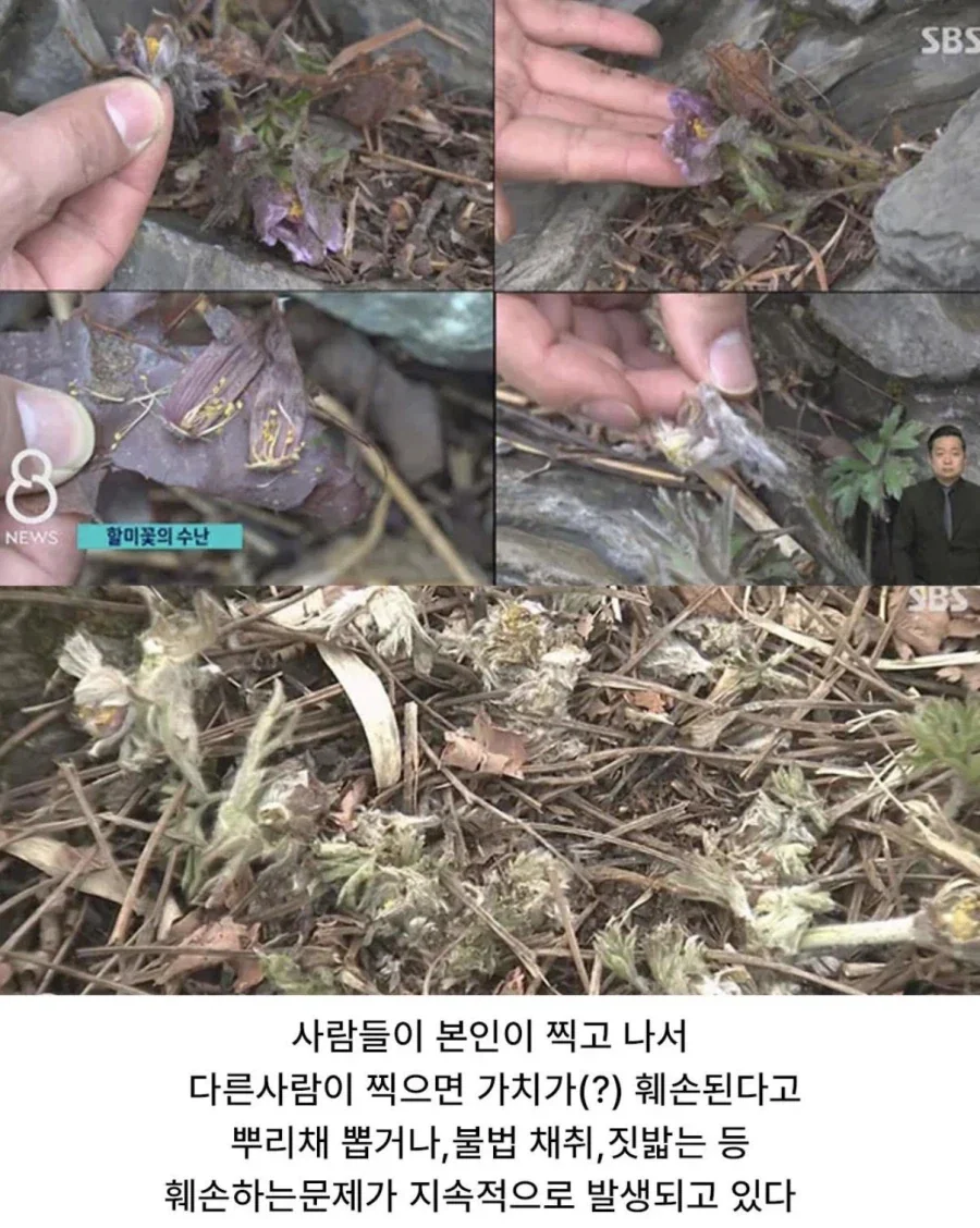 사진작가 동호회 수준 - 이미지 6