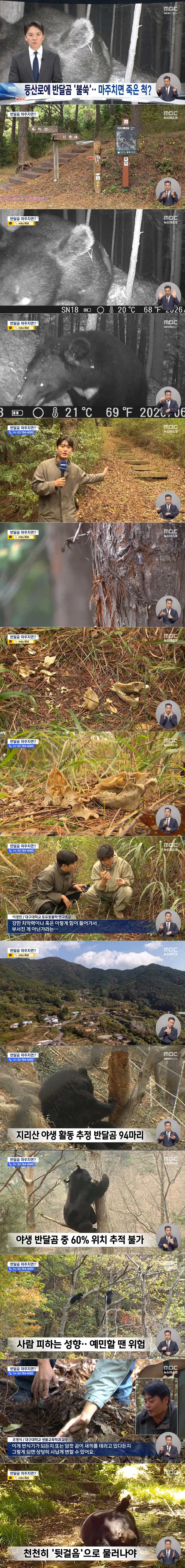 지리산 등산로 15m 옆에서 곰이 찍혔다네...