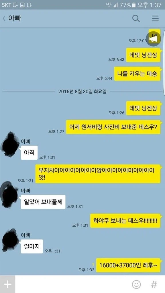 (약혐) 자식농사 실패
