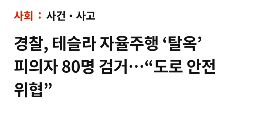 테슬라 탈옥한 80명 검거