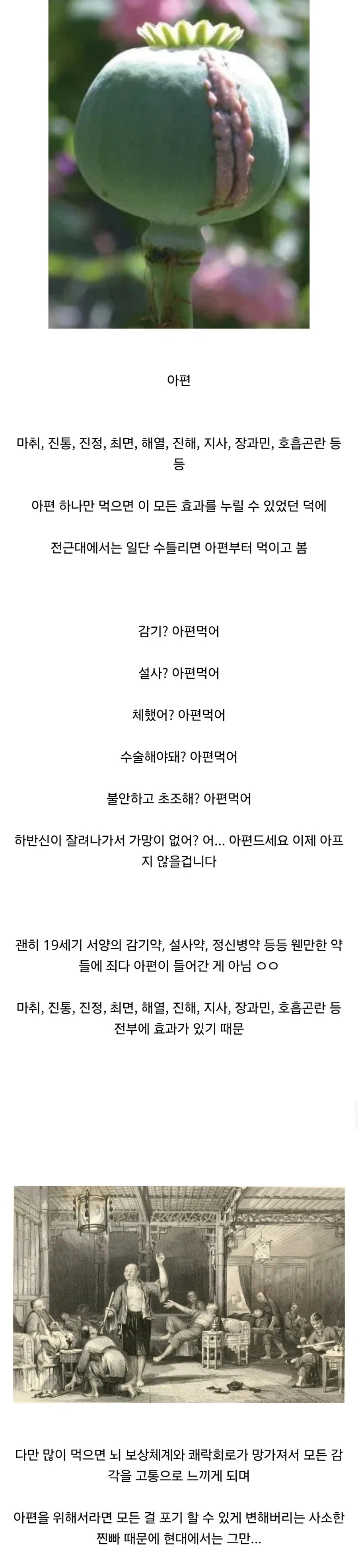 전근대에서 만병통치약이었던 것...jpg