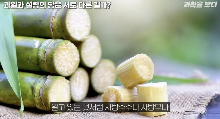 탄산음료 액상과당이 몸에 안좋은이유 - 이미지 4