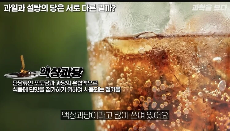 탄산음료 액상과당이 몸에 안좋은이유 - 이미지 8