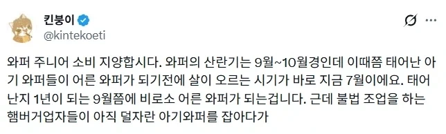 지금 버거킹 버거 맛이 없을수밖에 없음
