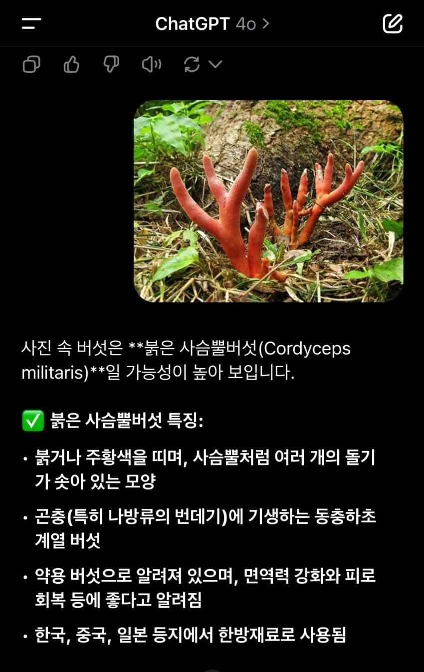 ai사용시 조심해야 하는 이유