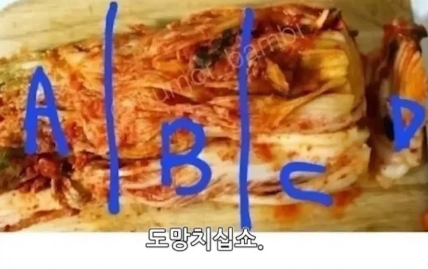 패드립을 회피하기 위한 어떤 유튜버의 노력 - 이미지 2