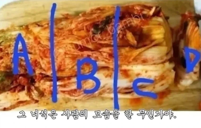 패드립을 회피하기 위한 어떤 유튜버의 노력 - 이미지 3