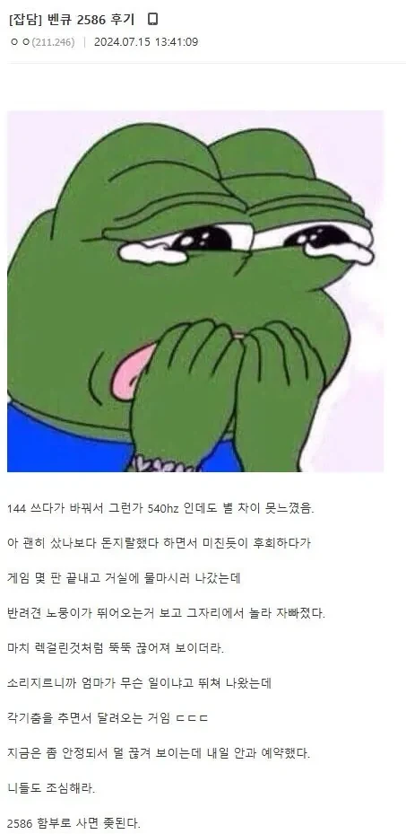 540Hz 모니터를 산 디시인.jpg